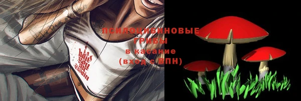 альфа пвп Осинники