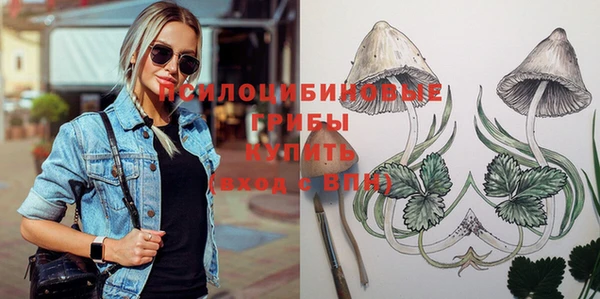 альфа пвп Осинники